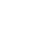 fIndustrial Policies and Incentives
